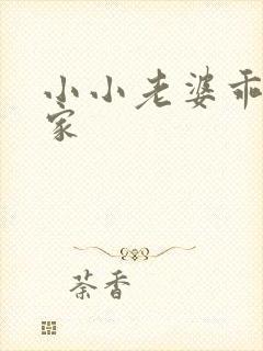 小小老婆乖乖回家