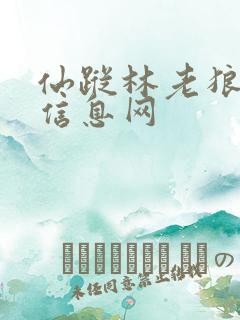 仙踪林老狼贰佰信息网