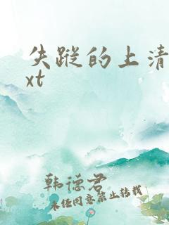 失踪的上清寺txt