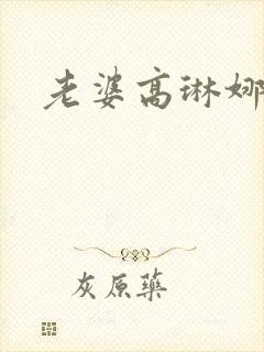 老婆高琳娜出轨