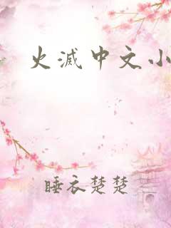 火灭中文小说