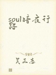 soul暗夜行路