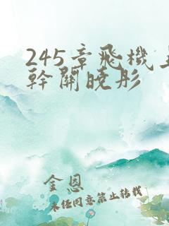 245章飞机上干关晓彤