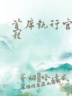 首席执行官的绝宠