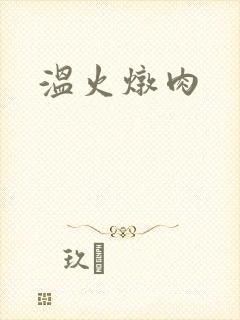 温火炖肉