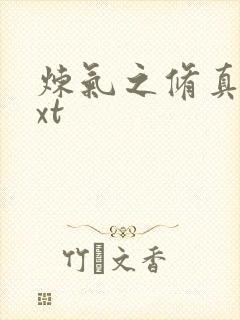 炼气之修真者txt