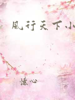 风行天下小说