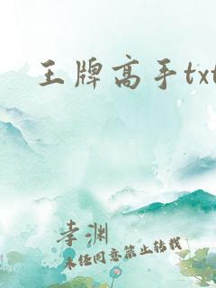 王牌高手txt