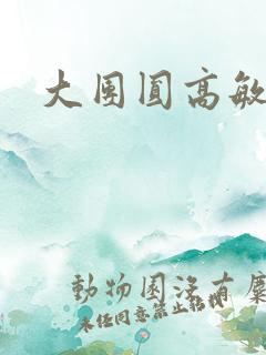 大团圆高敏