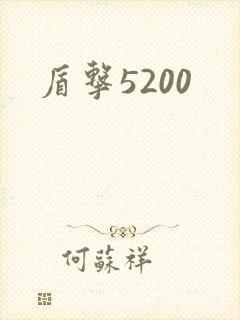 盾击5200