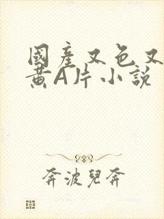 国产又色又爽又黄A片小说