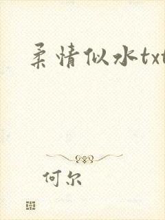 柔情似水txt