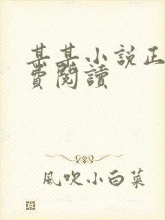 某某小说正版免费阅读