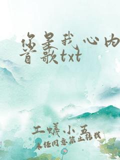 你是我心内的一首歌txt