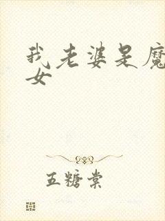 我老婆是魔法少女