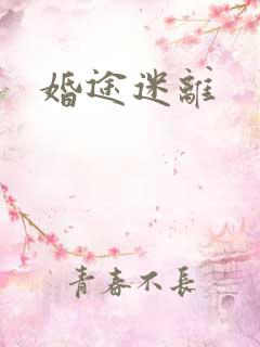 婚途迷离