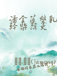 潘金莲双乳晃动干柴烈火