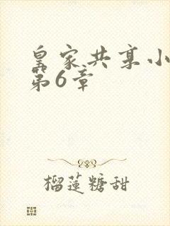 皇家共享小公主第6章