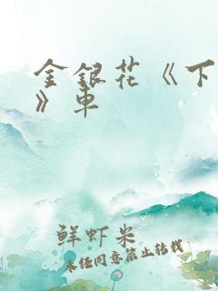 金银花《下厨房》车