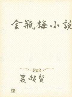 金瓶梅小说下载