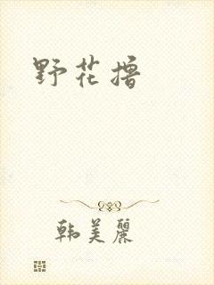 野花撸