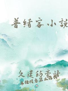 普绪客小说