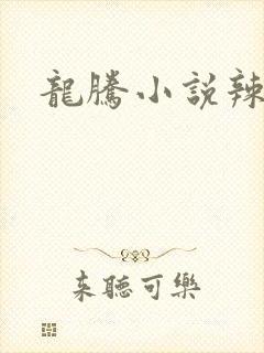 龙腾小说辣文网