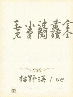 王小波黄金时代免费阅读全文
