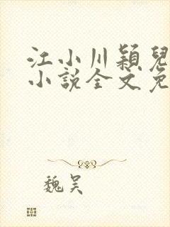 江小川颖儿穿越小说全文免费阅读