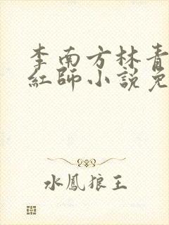 李南方林青青斩红师小说免费阅读