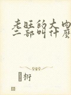 老旺的大肉蟒第二部叫什么小说