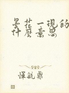 昙花一现的现是什么意思