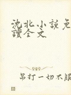 沈北小说免费阅读全文