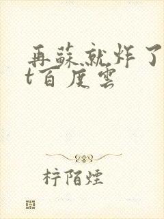 再苏就炸了txt百度云