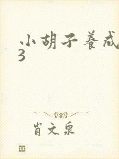 小胡子养成计划3