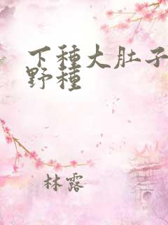 下种大肚子怀孕野种