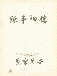 辣手神枪