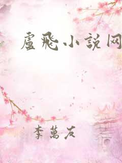 卢飞小说网