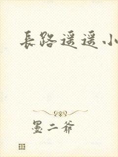 长路遥遥小说