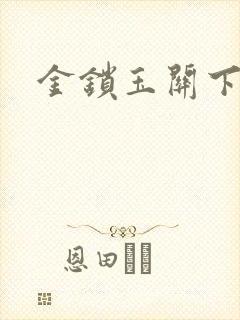 金锁玉关下载