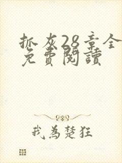 抓灰28章全部免费阅读