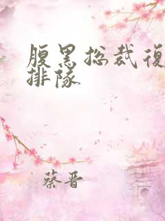 腹黑总裁复婚请排队