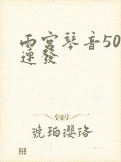 雨宫琴音500连发