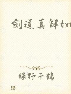 剑道真解txt