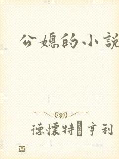 公媳的小说