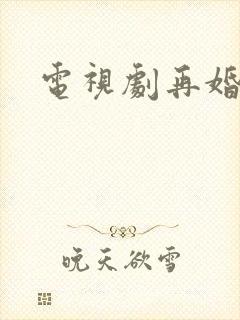 电视剧再婚家庭