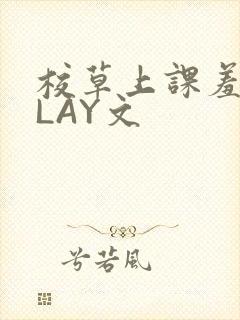 校草上课羞耻PLAY文