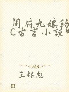 周府九娘的NPC古言小说叫什么