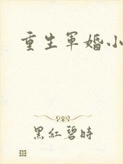 重生军婚小媳妇