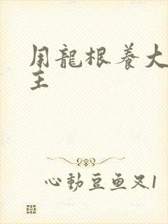 用龙根养大的公主